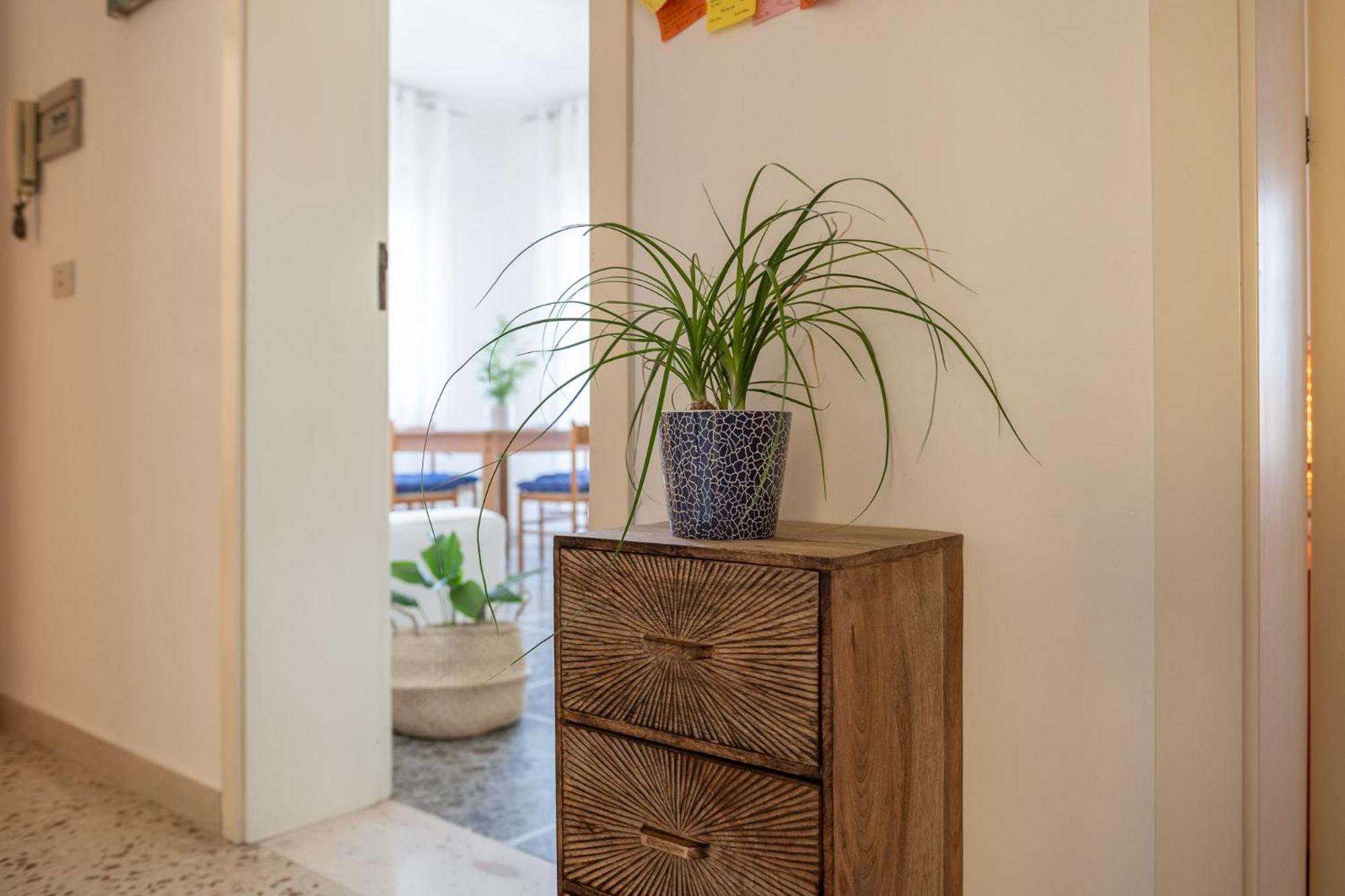 La Casa Di Francesca Apartment ซัน เบเนเดตโต เดล ตรอนโต ภายนอก รูปภาพ